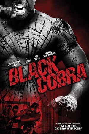 Black Cobra (2012) Hindi Dual Audio [830MB] - Movierulz