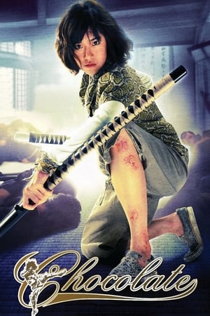 Chocolate (2008) Hindi Dual Audio [830MB] - Movierulz