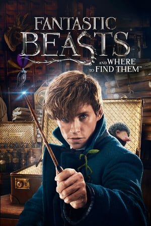 Fantastic Beasts and Where to Find Them 2016 Full Movie HC [] [1GB] - Movierulz