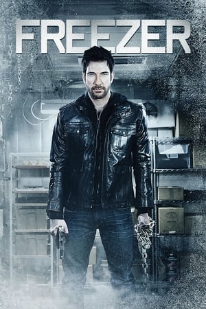 Freezer (2014) Hindi Dual Audio 250MB - Movierulz