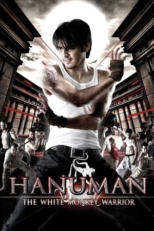 Hanuman The White Monkey Warrior 2008 Hindi Dual Audio [1.1GB] - Movierulz