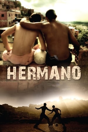 Hermano (2010) Hindi Dual Audio 300MB - Movierulz