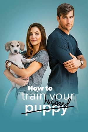 How to Train Your Husband 2018 Hindi Dual Audio 300MB - Movierulz