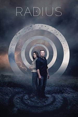 Radius (2017) Hindi Dual Audio 300MB - Movierulz