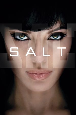 Salt (2010) Hindi Dual Audio [800MB] - Movierulz