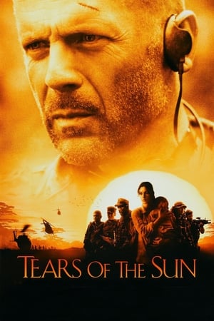 Tears of The Sun (2003) 100mb Hindi Dual Audio movie Download - Movierulz