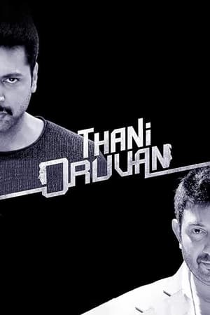 Thani Oruvan 2015 220mb Hindi - Tamil Dubbed movie Download - Movierulz