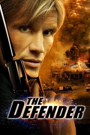 The Defender (2004) Hindi Dual Audio [1.2GB] - Movierulz