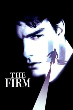 The Firm (1993) Hindi Dual Audio [980MB] - Movierulz