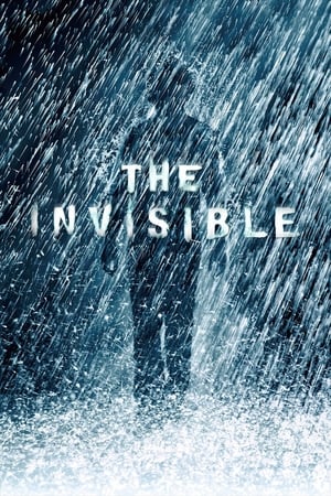 The Invisible 2007 Hindi Dual Audio Movie - 850MB - Movierulz