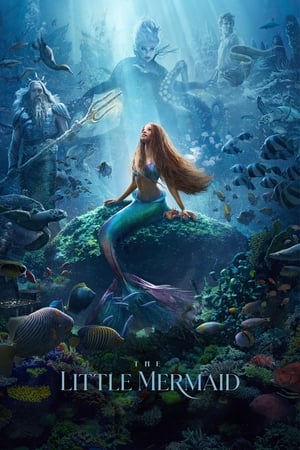 The Little Mermaid (2023) Hindi (ORG 5.1) - Movierulz