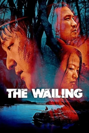 The Wailing 2016 Hindi Dual Audio 450MB - Movierulz