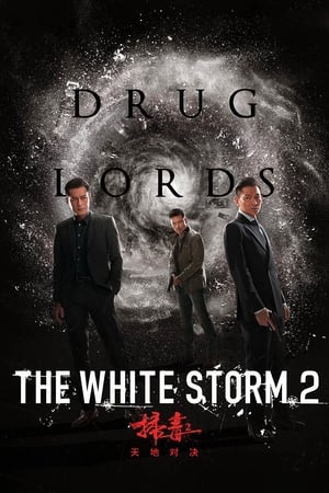 The White Storm 2: Drug Lords (2019) Hindi (Org) 300MB - Movierulz