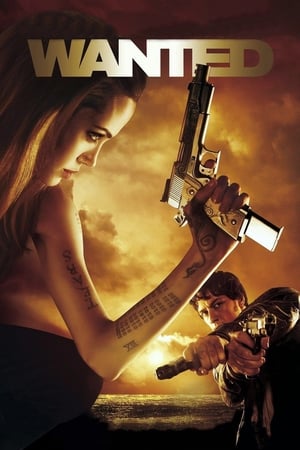 Wanted (2008) Hindi Dual Audio 360MB - Movierulz